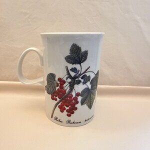 Dunoon Scotland Mug